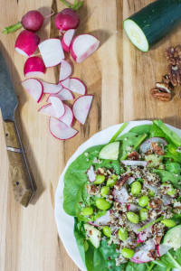 Spinach Quinoa Salad with Edamame-5