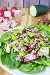 Spinach Quinoa Salad with Edamame-6