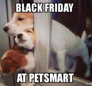 Black Friday at Pet Smart